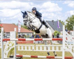 broodmare Happy M 3 (Hanoverian, 2016, from Hickstead White)