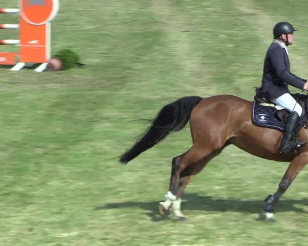 Reitturnier Pennigbüttel 2025
