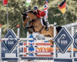jumper Colame (Czech Warmblood, 2012)