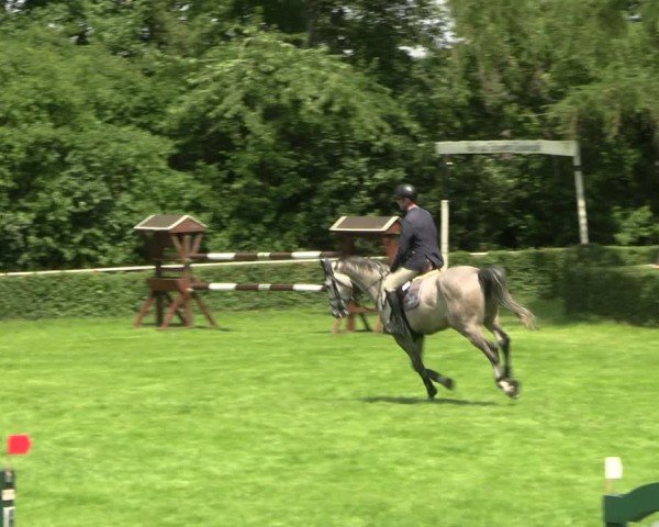 Reitturnier Westeregeln 2025