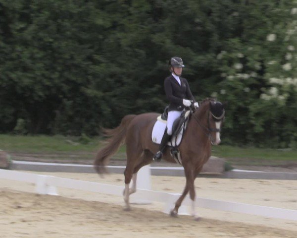 Reitturnier Everswinkel 2025