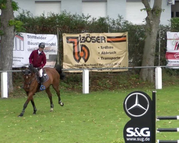 Reitturnier Forst 2025
