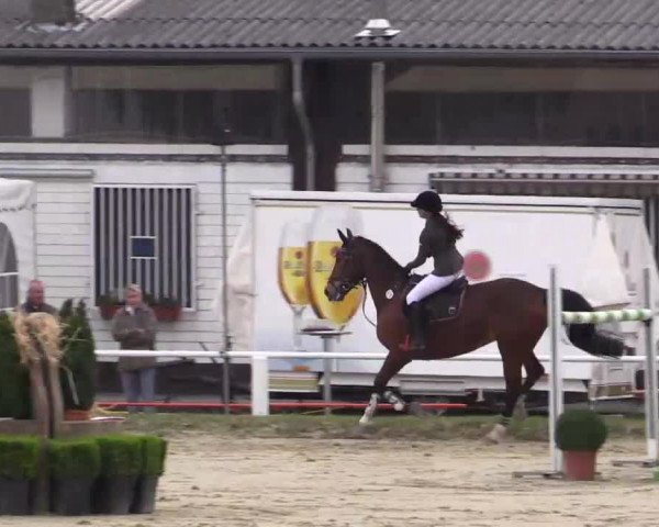 Eröffnung der grünen Saison Bottrop 2014