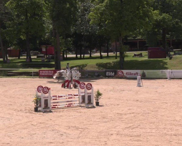 Reitturnier Stadl-Paura 2025