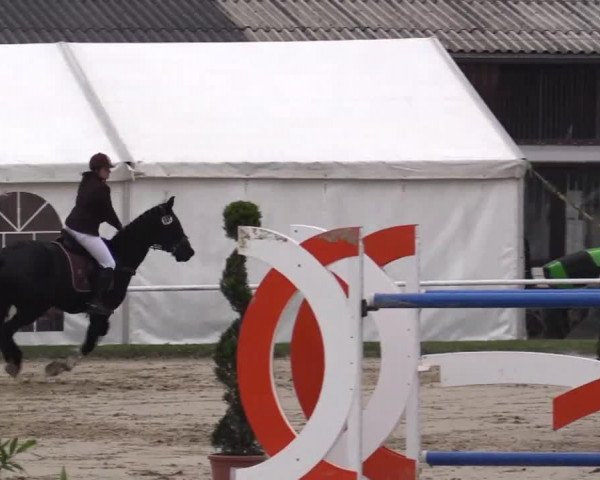 Eröffnung der grünen Saison Bottrop 2014