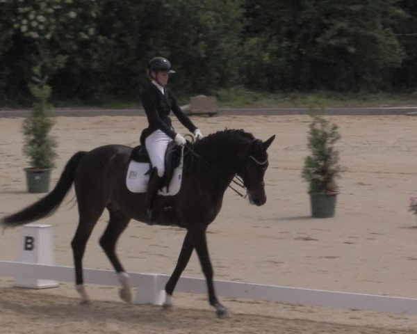 Reitturnier Everswinkel 2025