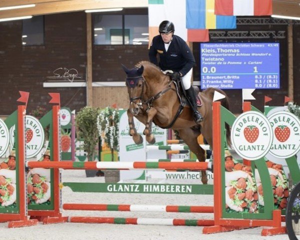 Deckhengst Twistano (Westfale, 2018, von Twister de la Pomme)