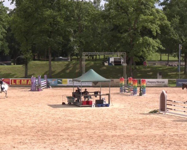 Reitturnier Stadl-Paura 2025