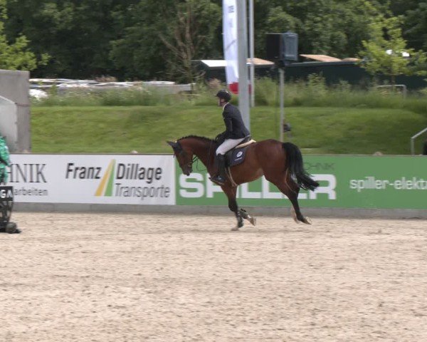 Reitturnier Borken 2025