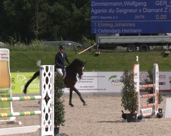 Reitturnier Borken 2025