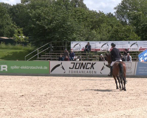 Reitturnier Borken 2025