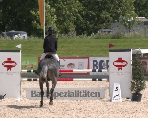 Reitturnier Borken 2025