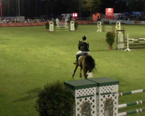 Reitturnier Cottbus-Sielow 2025