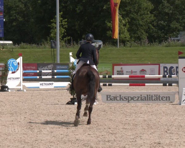 Reitturnier Borken 2025