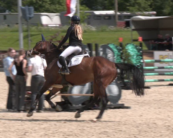 Reitturnier Borken 2025