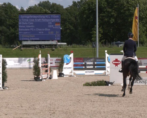 Reitturnier Borken 2025