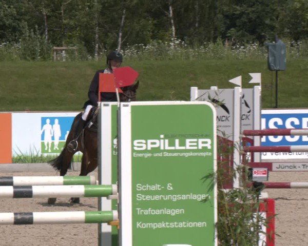 Reitturnier Borken 2025