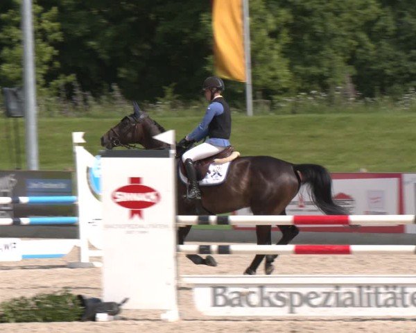 Reitturnier Borken 2025