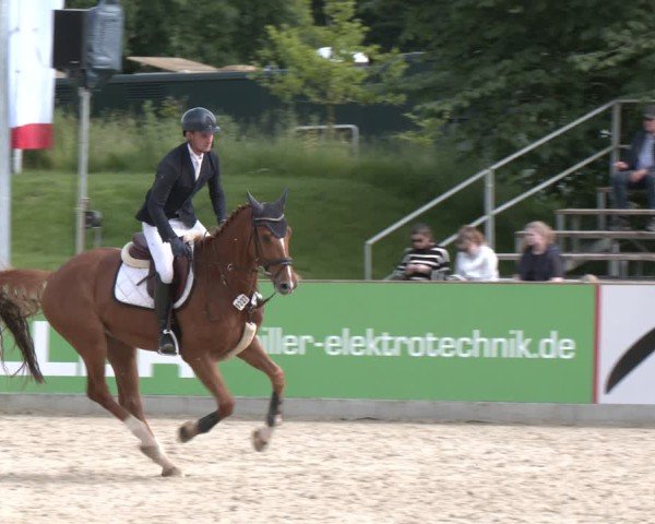 Reitturnier Borken 2025