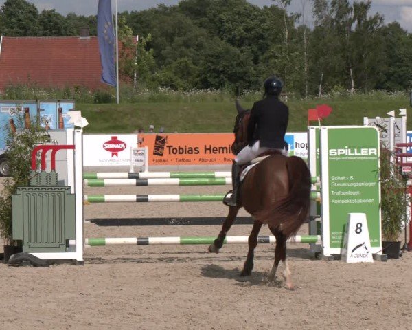 Reitturnier Borken 2025