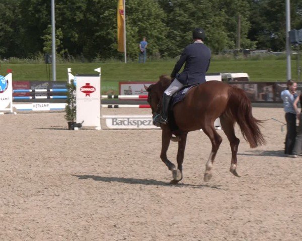 Reitturnier Borken 2025