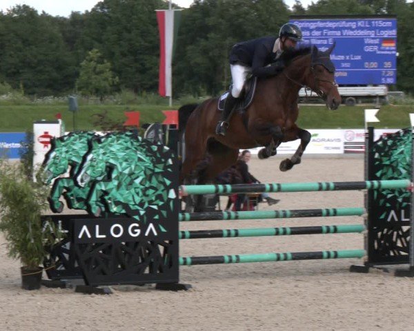 Reitturnier Borken 2025