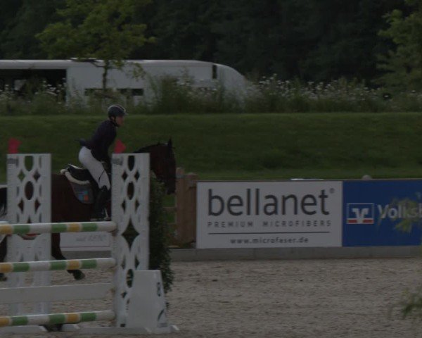 Reitturnier Borken 2025