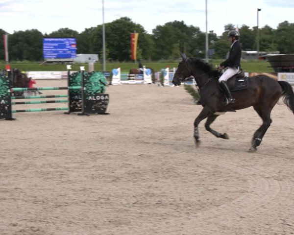 Reitturnier Borken 2025