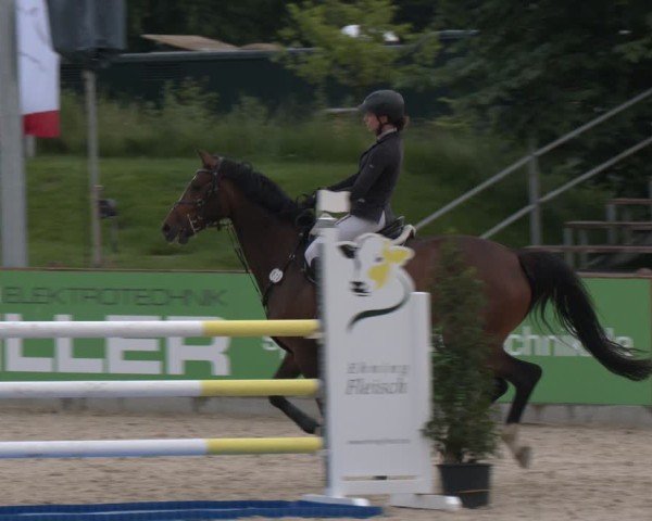 Reitturnier Borken 2025