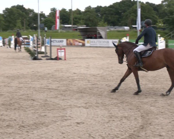 Reitturnier Borken 2025