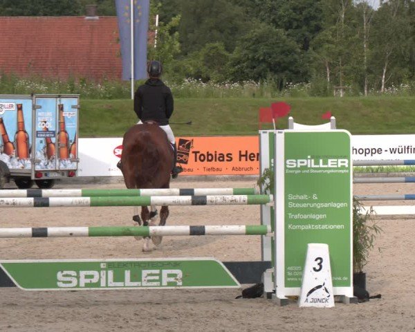Reitturnier Borken 2025