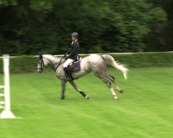 Reitturnier Westeregeln 2025