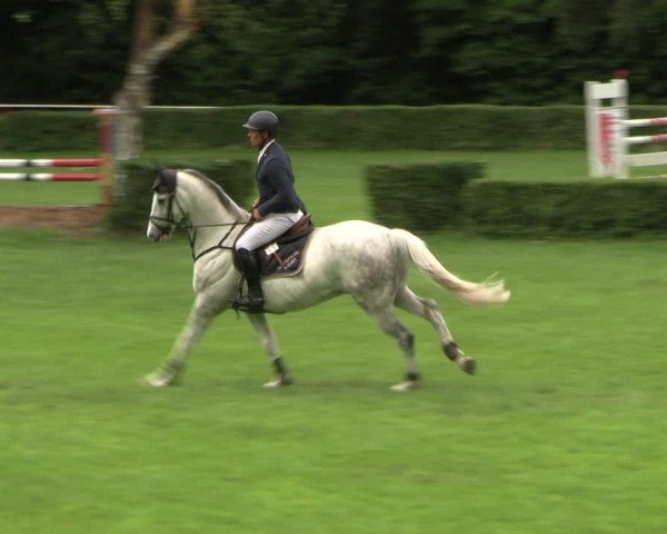 Reitturnier Westeregeln 2025