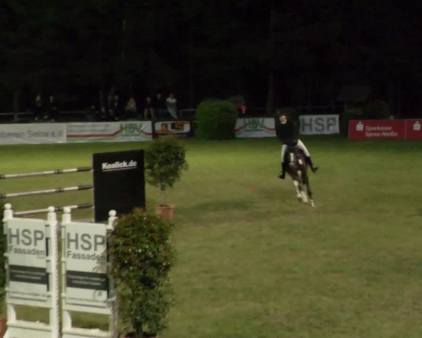 Reitturnier Cottbus-Sielow 2025