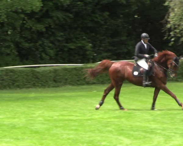 Reitturnier Westeregeln 2025
