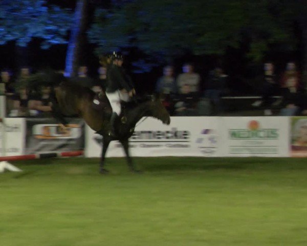 Reitturnier Cottbus-Sielow 2025