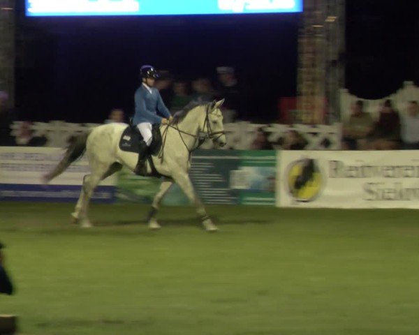 Reitturnier Cottbus-Sielow 2025