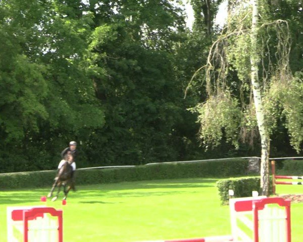 Reitturnier Westeregeln 2025