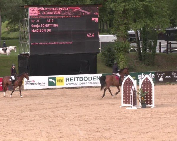 Reitturnier Stadl-Paura 2025
