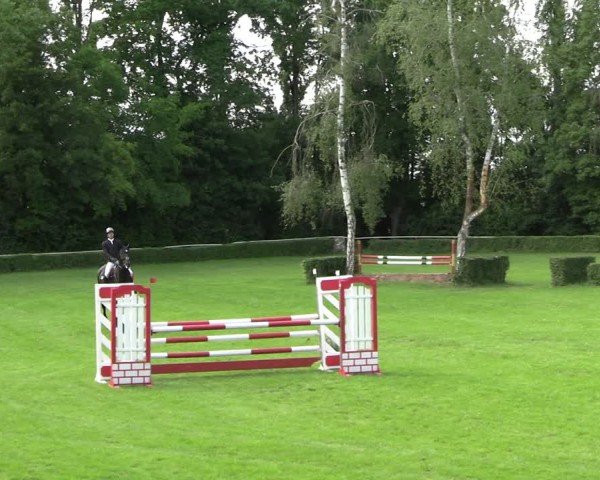 Reitturnier Westeregeln 2025