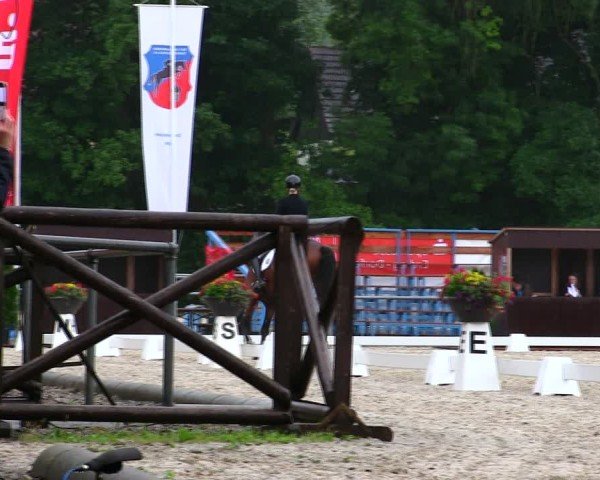 Reitturnier Taufkirchen-Vils/Obb. 2025