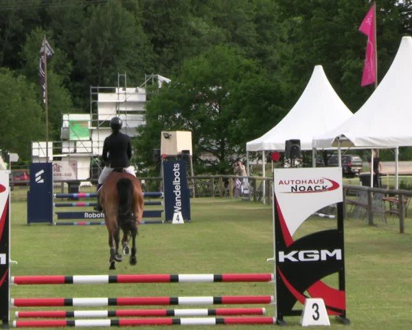 Reitturnier Horka 2025