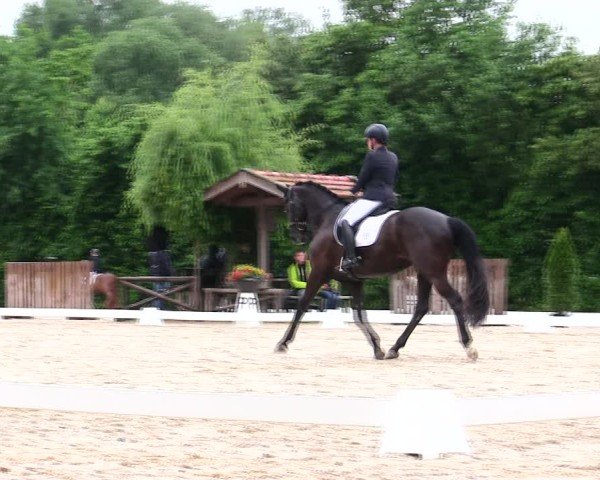 Reitturnier Taufkirchen-Vils/Obb. 2025