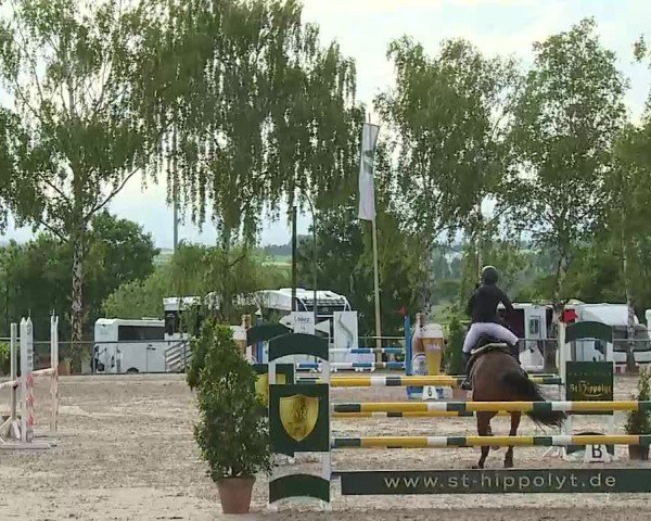 Reitturnier Landenhausen 2025