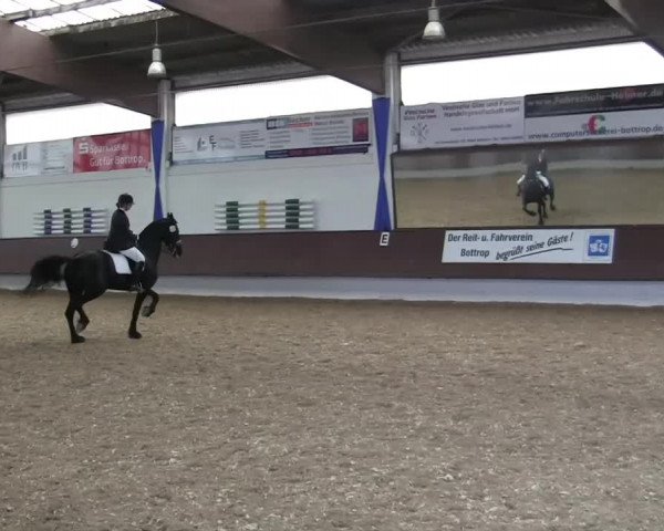 Eröffnung der grünen Saison Bottrop 2014