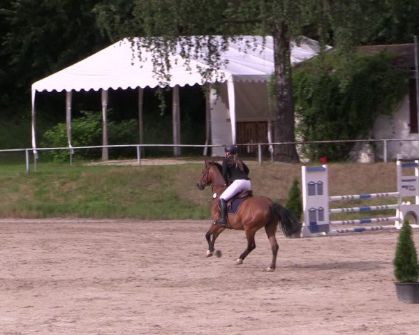 Reitturnier Langenleuba - Oberhain 2025