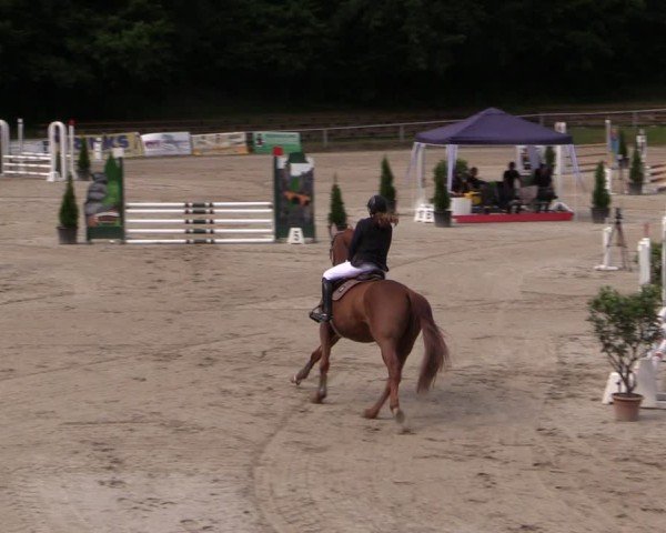 Reitturnier Langenleuba - Oberhain 2025