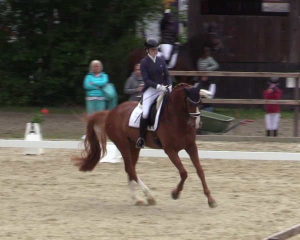 Reitturnier Iserlohn-Kalthof 2025