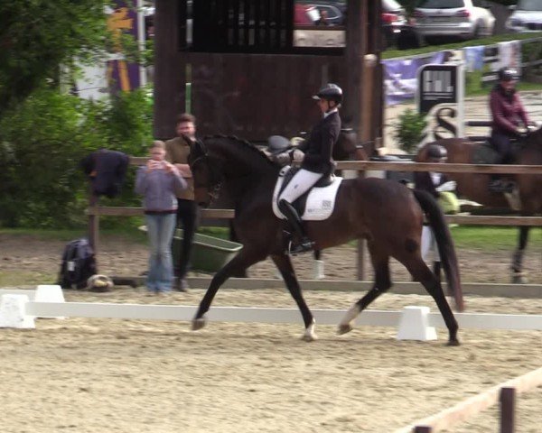 Reitturnier Iserlohn-Kalthof 2025