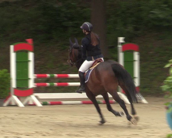 Reitturnier Iserlohn-Kalthof 2025